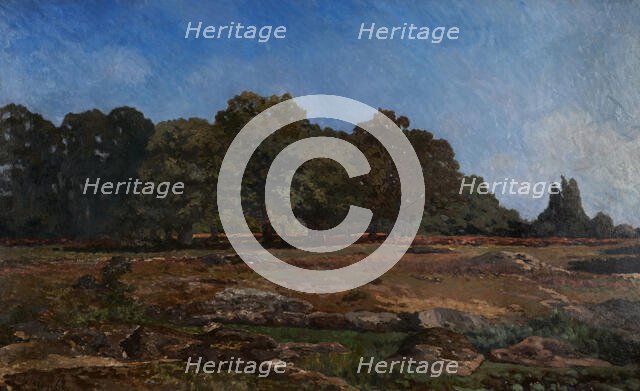 Edge of the forest of Fontainebleau, 1865. Creator: Alfred Sisley.