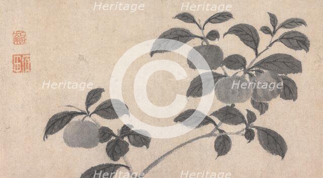 Branch of Fruit Bearing Tree, c16th century. Creator: Unknown.