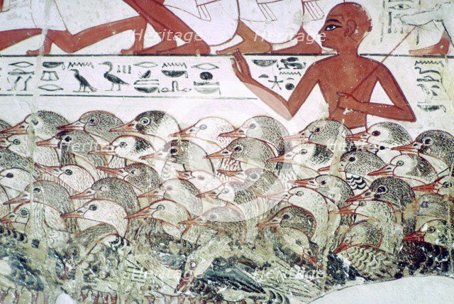 Counting the geese: fragment of wall painting from the tomb of Nebamun, Thebes, Egypt, c1350 BC. Artist: Unknown
