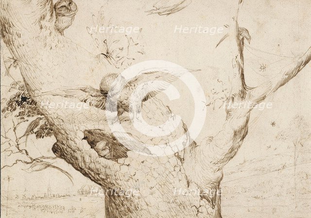 The Owl's Nest, ca. 1505-1510.