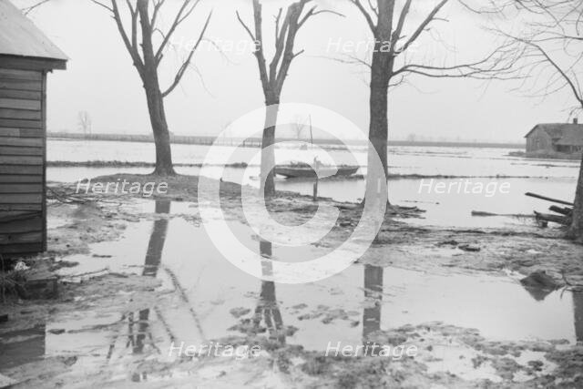 Farmyard covered with flood waters near Ridgeley, Tennessee, 1937. Creator: Walker Evans.