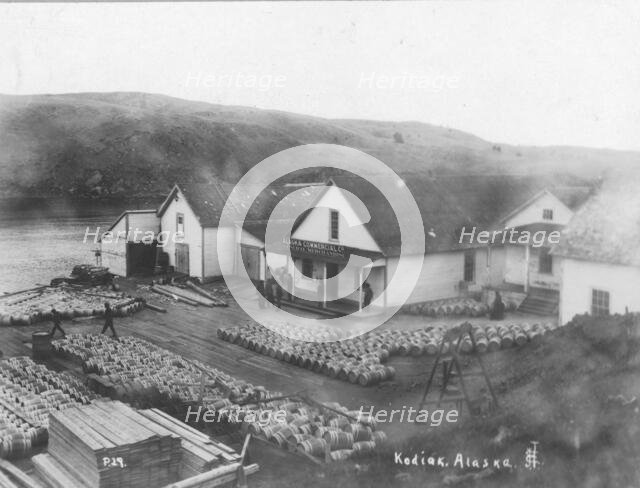 Salmon works, between c1900 and c1930. Creator: Unknown.