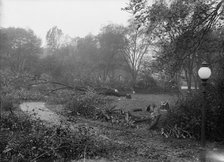 District of Columbia Parks - Cutting Trees On Mall Sites For War Buildings, 1917. Creator: Harris & Ewing.