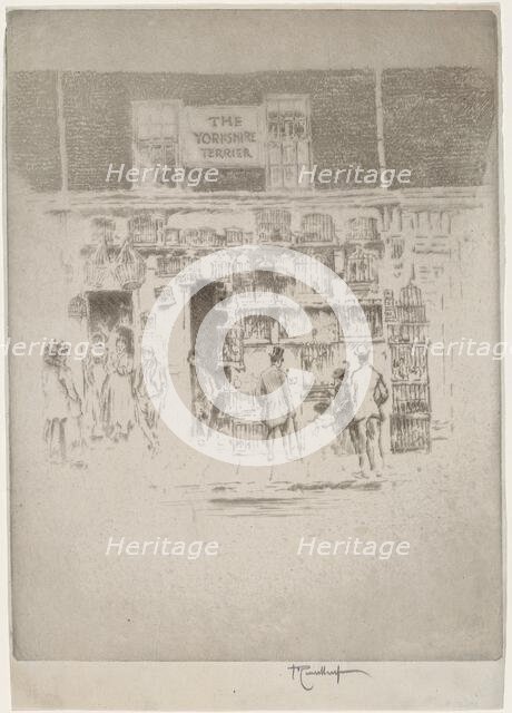 The Yorkshire Terrier, 1903. Creator: Joseph Pennell.