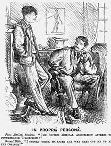 'In Propriâ Personâ', 1875.   Artist: Charles Samuel Keene