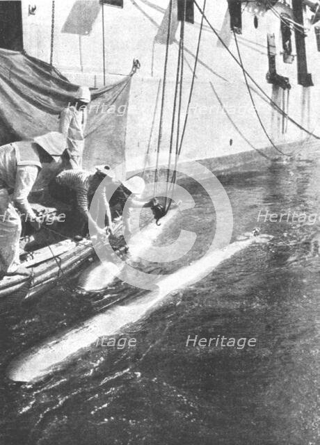 'La flotte Francaise en orient; Repechage de torpilles apres un exercice de lancement', 1916. Creator: Unknown.