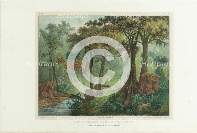 Virgin Forest Near Manqueritipa. From "Malerische Reise in Brasilien", 1835. Creator: Rugendas, Johann Moritz (1802-1858).