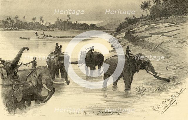 Elephants on the banks of the Mahaweli River, Ceylon, 1898.  Creator: Christian Wilhelm Allers.