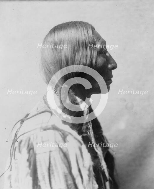 Bear Black, c1905. Creator: Edward Sheriff Curtis.