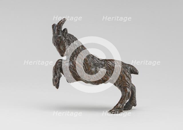 A Goat. Creator: Andrea Briosco.