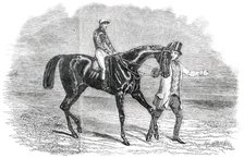 Landgrave, Winner of the Cambridgeshire Stakes at Newmarket, 1850. Creator: Unknown.