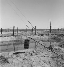 Water supply, California squatter camp near Calipatria, California, 1937. Creator: Dorothea Lange.