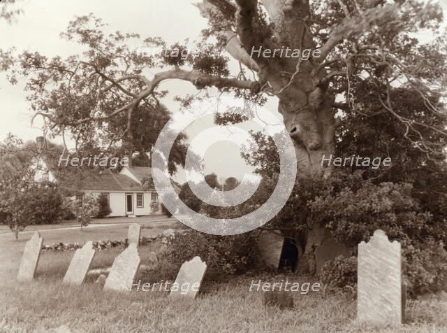 Warwick, Quinby vicinity, Accomac County, Virginia, between c1930 and 1939. Creator: Frances Benjamin Johnston.