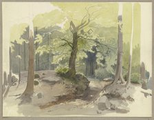 Forest path in the Ilse Valley in the Harz Mountains, c1844. Creator: Carl Theodor Reiffenstein.