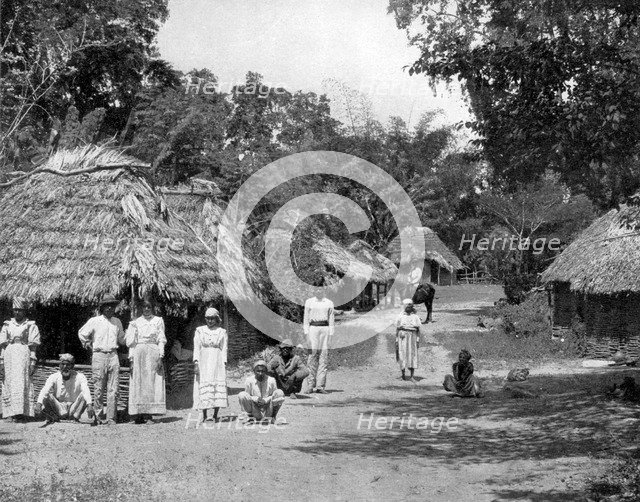 'Native huts', Jamaica, c1905.Artist: Adolphe Duperly & Son