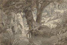 Forest landscape, 1832. Creator: Johann Wilhelm Schirmer.