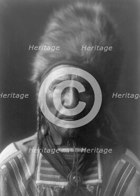 Old Dog-Apsaroke, c1908. Creator: Edward Sheriff Curtis.
