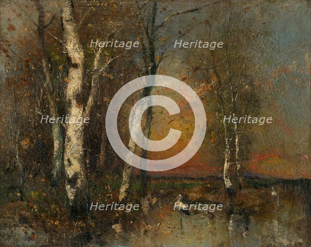 Forest landscape, 1880-1925. Creator: Béla Spányi.