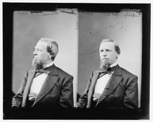 Warner, Hon. Levi of Conn., between 1865 and 1880. Creator: Unknown.