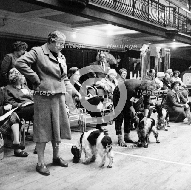 Owners parading their dogs at a London dog show, possibly Crufts, 1964. Artist: Henry Grant