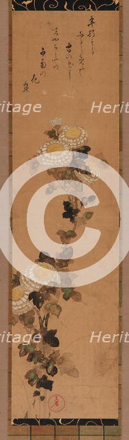 Chrysanthemums, 18th-19th century. Creator: Ogata Kenzan.