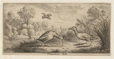 Ortygometra, Ralle (The Rail): Livre d'Oyseaux (Book of Birds), 1655-1660., Creator: albert flamen.