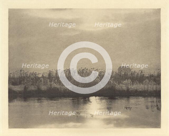 Rime Crystals, in or before 1895. Creator: Dr Peter Henry Emerson.