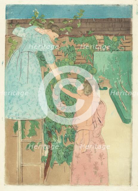 Gathering Fruit, c. 1893. Creator: Mary Cassatt.