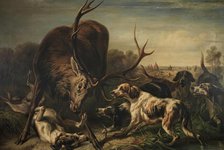 Deer caught by dogs, 1858. Creator: Benno Adam.