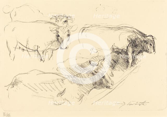 Kühe (Cows), 1910. Creator: Lovis Corinth.