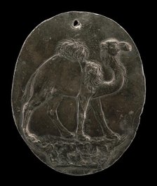 Arabian Camel (or Dromedary), c. 1570s/1580s. Creator: Antonio Abondio.