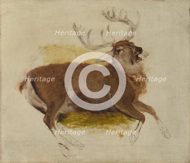 Dying Stag, ca. 1830. Creator: Edwin Henry Landseer.