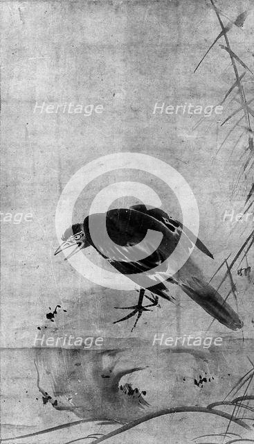 Crow on a Rock, probably 19th century. Creator: After Sesson Sh?kei (ca. 1504-ca. 1589).