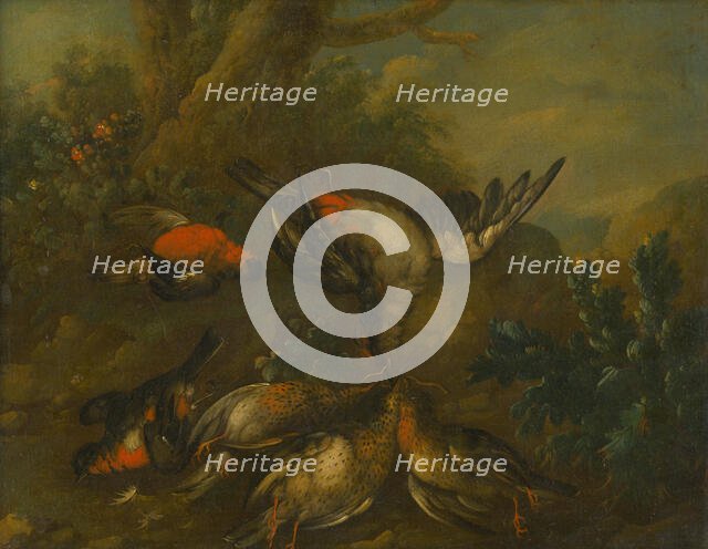 Still Life with Dead Birds, 1720-1730. Creator: Philipp Ferdinand de Hamilton.