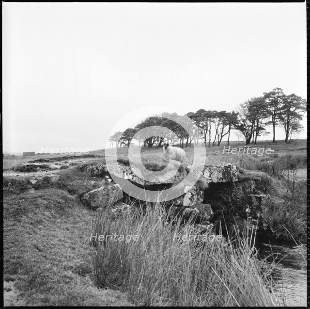 Powder Mills Clapper Bridge, Dartmoor, Devon, 1967. Creator: Eileen Deste.