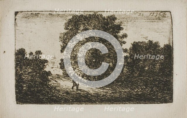 Trees Bordering a Road, n.d. Creator: John Clerk.