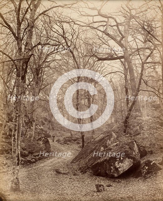 Fontainebleau, about 1870. Creator: Charles Victor Famin.