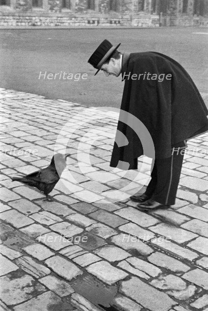 Beefeater bending down to address a raven, Tower of London, Tower Hill, London, late 1930s. Artist: John Gay.