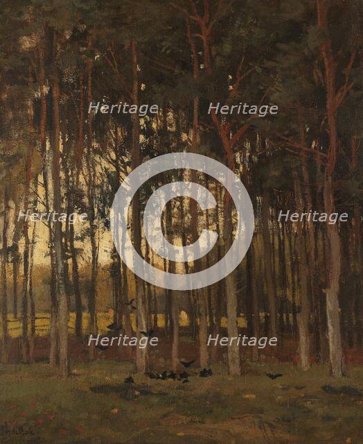 View in the Woods, c.1870-c.1904. Creator: Théophile de Bock.