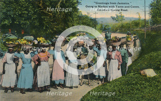 Greetings from Jamaica. Going to Market with Yams and Canes. Constant Spring Road', 1913. Creator: Unknown.