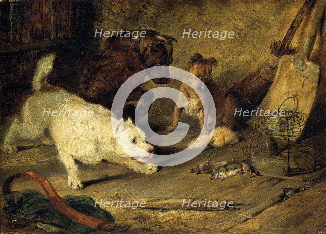 'Ratcatchers', 1821. Artist: Edwin Henry Landseer.