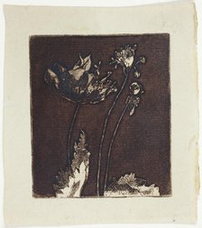Last Poppies, 1897. Creator: Theodore Roussel.