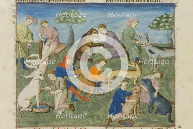 Dog care. Miniature Livre de la chasse by Gaston III, comte de Foix, 15th century. Creator: Anonymous master.
