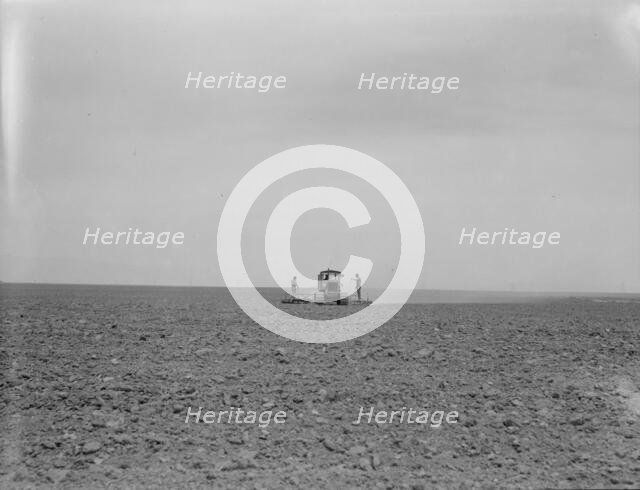 Harrowing a 2,000 acre wheat field, Antelope Valley, Los Angeles County, California, 1937. Creator: Dorothea Lange.