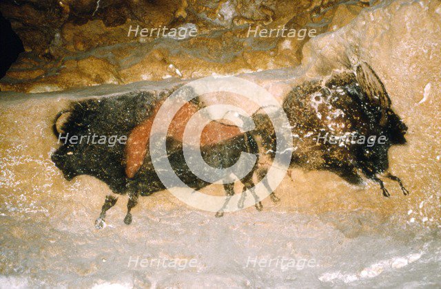 Paleolithic cave-painting of Bison from Lascaux, France. c50,000-c10,000 BC.  Artist: Unknown.