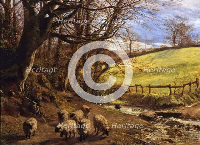 A Bit of Guernsey. Creator: Allan James Hook.