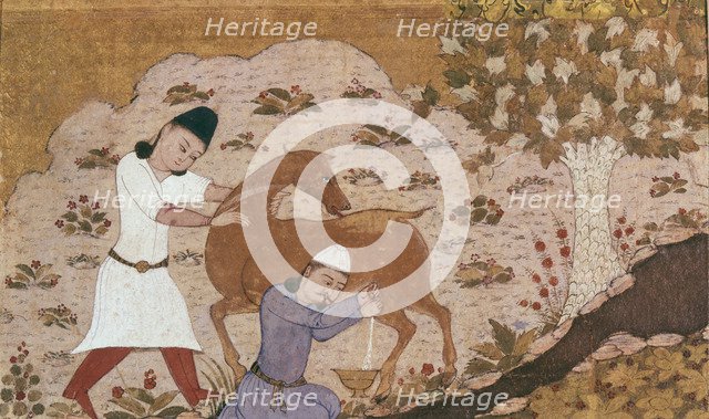 Onager Milking, Late 15th century.