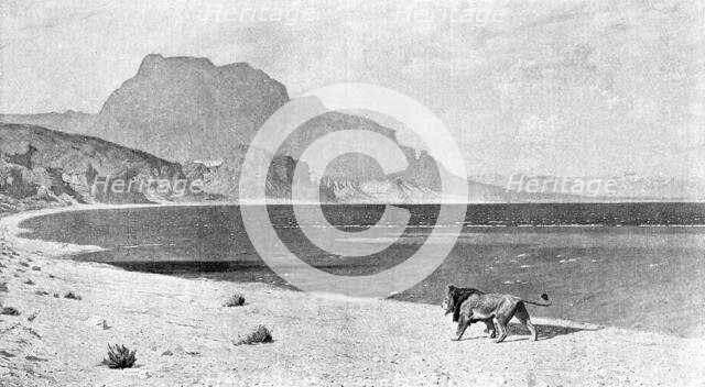 "A Lion in Search of its Prey", after JL Gerome', 1890. Creator: Unknown.