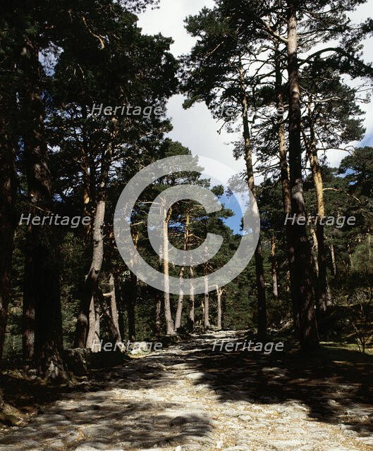 Remains of the Roman road of Cercedilla, Community of Madrid, Spain, 2008.  Creator: LTL.