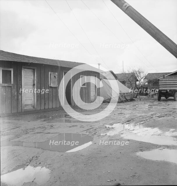 Houses inhabited by Mexican citrus workers, Lindsay, Tulare County, California , 1939. Creator: Dorothea Lange.